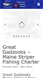 Mobile Screenshot of greatgadzooks.com